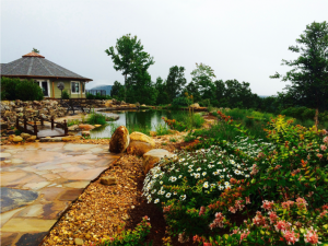 Yoga and Wellness Retreats in Georgia