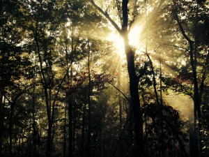 Spiritual Retreat in Nature