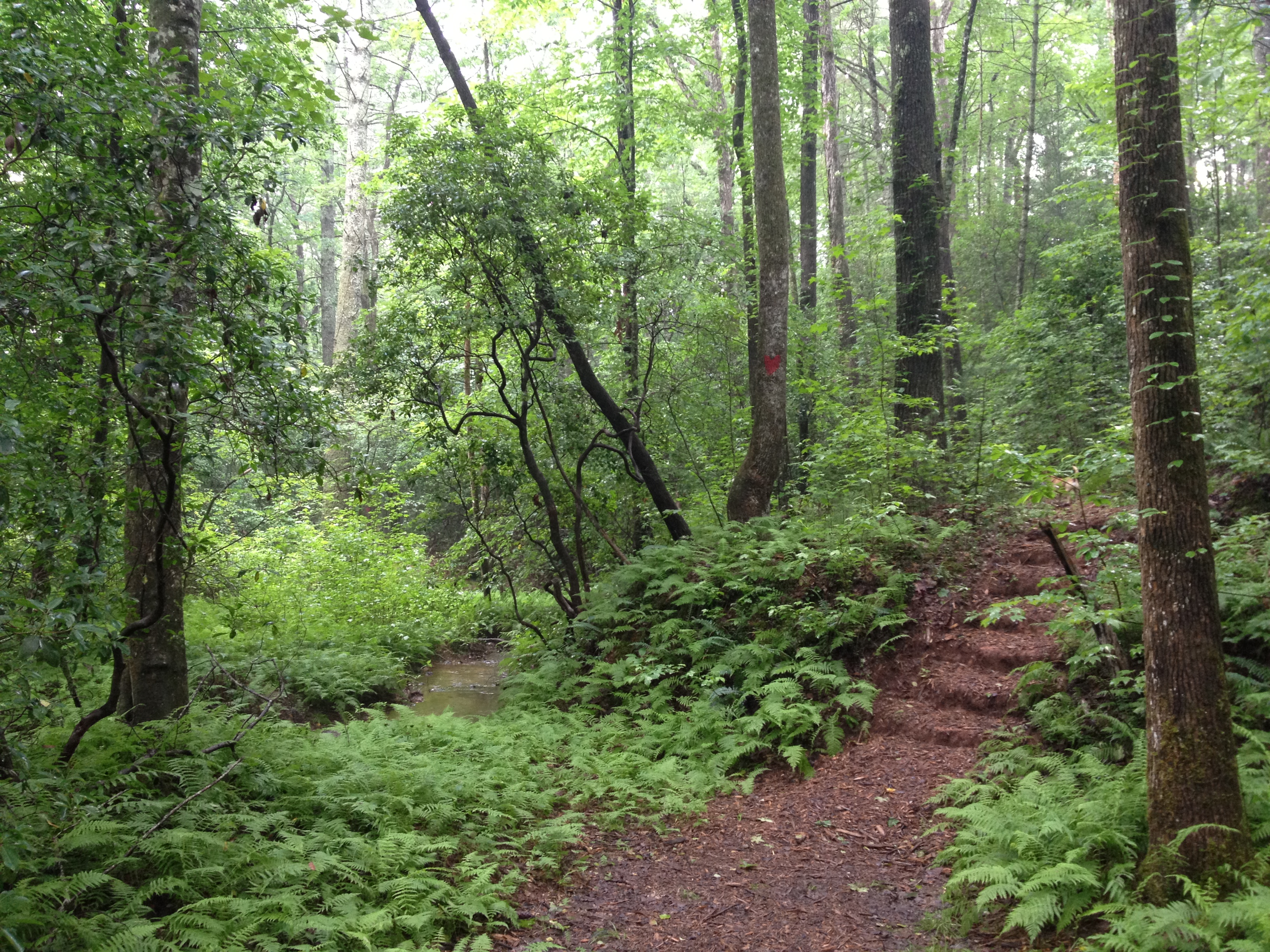 Yoga and Massage Retreats in Georgia