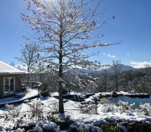 Yoga and Wellness Retreats in Georgia