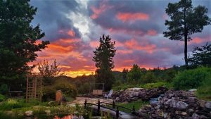 Nature Wellness Retreats Georgia Mountains