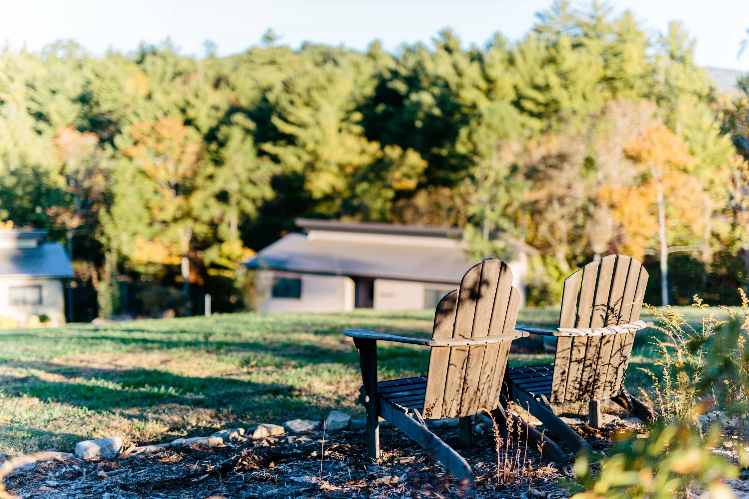 Nature Wellness Retreats Georgia Mountains